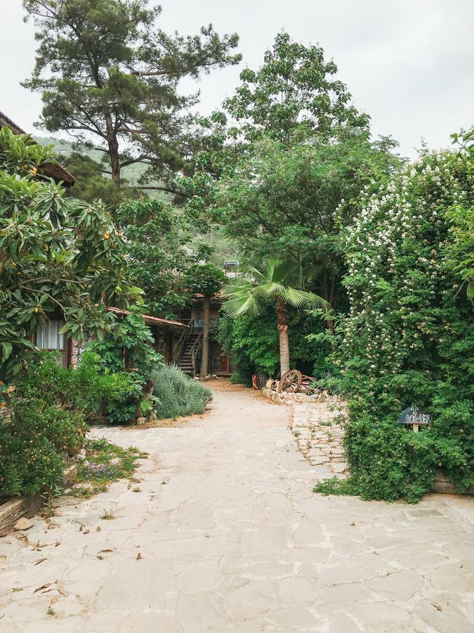 Kadir'S Top Tree Houses Olympos Exterior foto